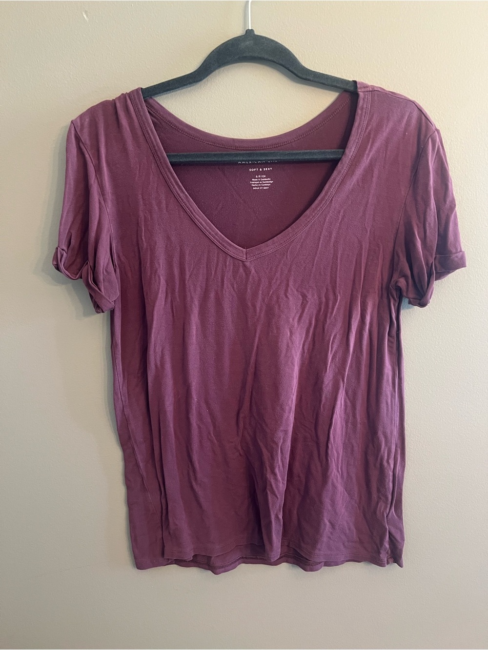American Eagle Outfitters Plum V-Neck Short Sleeve Tee